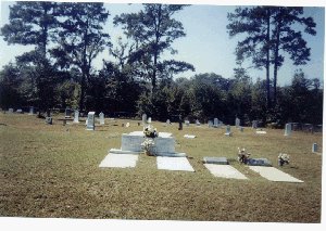 Mount Pleasant Cemetery Photo.jpg - 25285 Bytes
